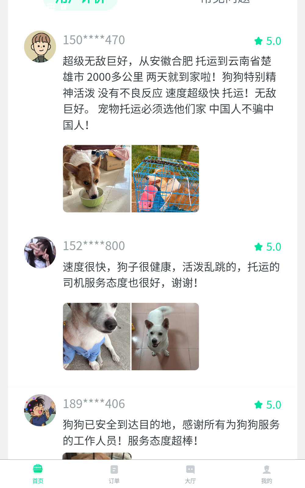 宠贝贝宠物托运平台
